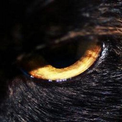 Profile Picture of Paul Garside (@DrPaulGarside) on Twitter