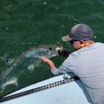 Profile Picture of Josh Farmer (@farmerj5) on Instagram