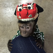 Profile Picture of Erick Walls (@monkeywalls) on Youtube