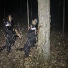 Profile Picture of Bandy Berlin (@bandy.berlin) on Tiktok