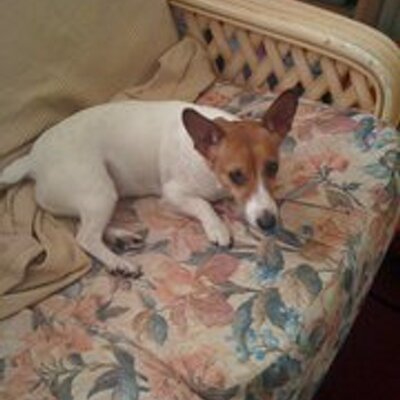 Profile Picture of Dawn Lancaster (@dawnofheritage) on Twitter