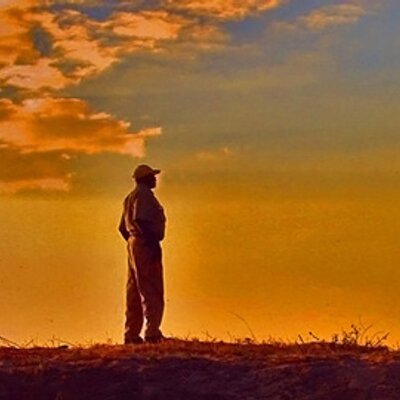 Profile Picture of Mike Despot (@mike_despot) on Twitter