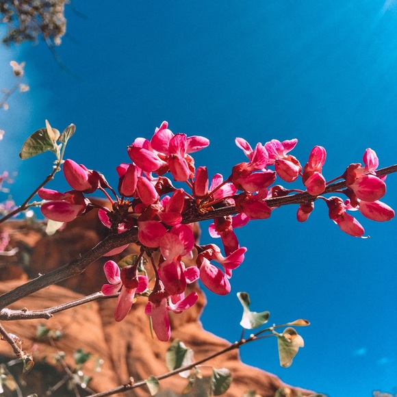 Profile Picture of Baylee Jackson (@bayleejackson48) on Poshmark