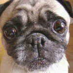 Profile Picture of my bff are ruby snell (@jodieepitchford) on Instagram