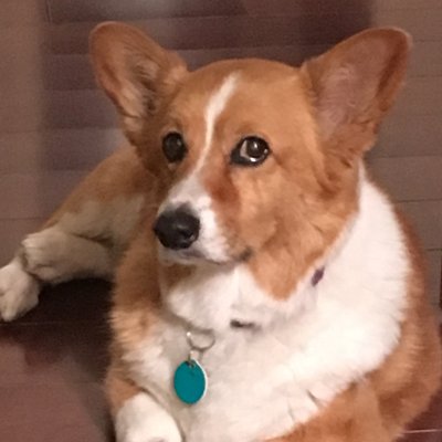 Profile Picture of Randall Kilgore (@RandallKilgore1) on Twitter