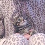 Profile Picture of Sam Royle (@samxroyle) on Instagram