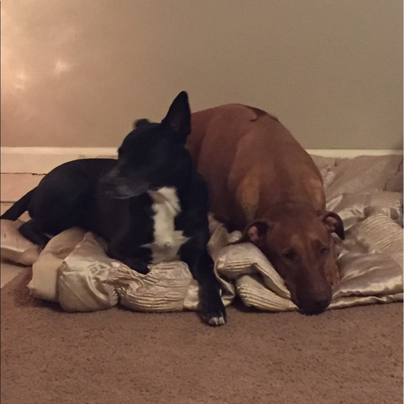 Profile Picture of Lisa Griffis (@lm02051976) on Poshmark