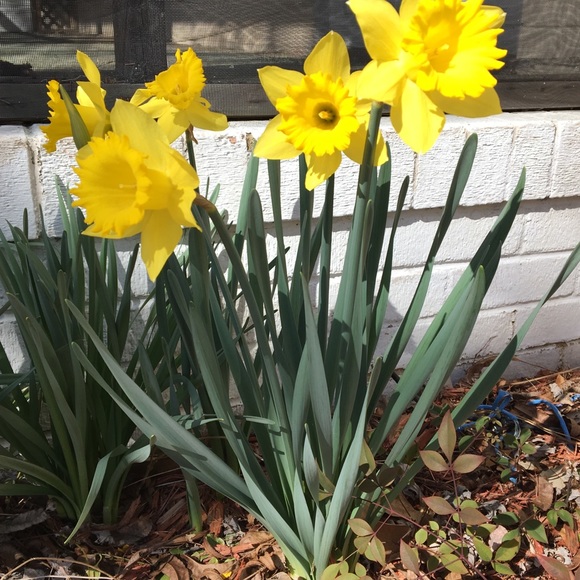 Amy Wilkinson - Poshmark Profile Picture of Amy Wilkinson (@smiley841) on Poshmark