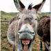Profile Picture of Gary Tolar (@gary.tolar.98) on Facebook
