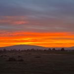 Profile Picture of Jeff W (@jwheatley5574) on Instagram