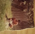 Profile Picture of Edward Moreno (@edward.moreno.3150807) on Facebook