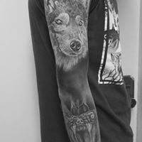 Profile Picture of Michael Stadler Jr. (@michael-stadler-jr) on Quora