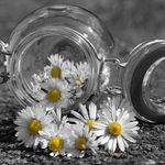 Profile Picture of Margo (@margo__hope) on Instagram