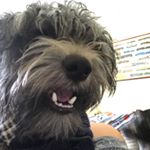 Profile Picture of Patrick Ayers (@patrickayers8) on Instagram