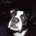 Profile Picture of Michael Wohlford (@michael.wohlford.52) on Facebook
