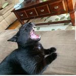 Profile Picture of jeff Durham (@jeff_durham224) on Instagram