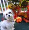 Profile Picture of Patrick Dingman (@patrick.dingman.58) on Facebook