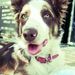 Profile Picture of Elmerie Van Heerden (@elmeriev) on Pinterest