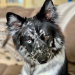 Profile Picture of David Yarber (@copter_dave) on Instagram