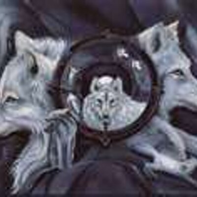 Profile Picture of Michael Laity (@laitym) on Twitter