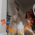 Profile Picture of Taryn Sharp (@tarynsharp2) on Instagram