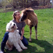 Profile Picture of Jason Grenier (@jasongrenier9511) on Youtube