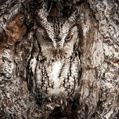 Profile Picture of John Dozier (@JohnDoz80767100) on Twitter