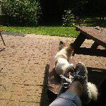 Profile Picture of Tonya Hull (@tonyahull82) on Instagram