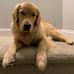 Profile Picture of Patrick Thomas (@patrick.thomas.12532364) on Facebook
