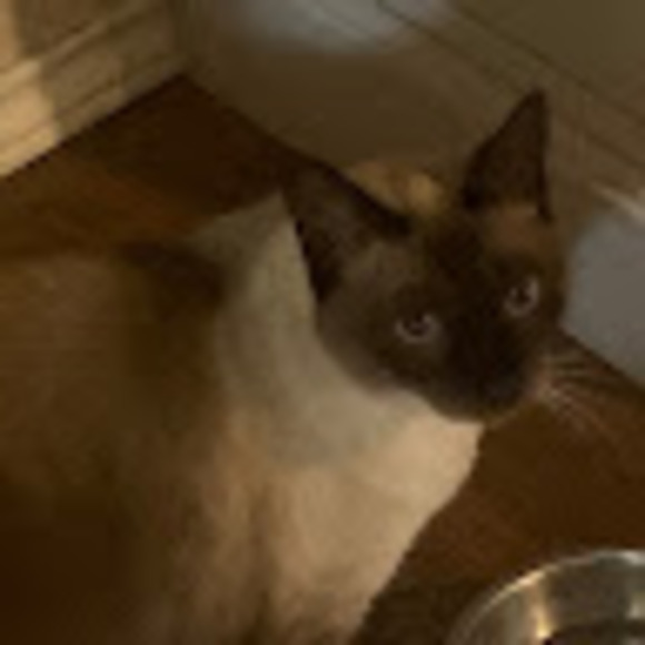 Profile Picture of Badussy Badussy (@badussy87) on Poshmark