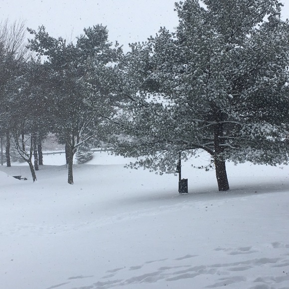 Profile Picture of Arnab Sarkar (@arnabsarkar) on Poshmark