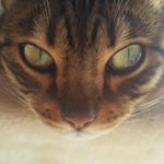 Profile Picture of Adam Davalos (@davalosadam) on Instagram