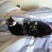 Profile Picture of Jane McDermott (@jane.mcdermott.58) on Facebook