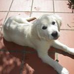 Profile Picture of Maurizio Bartolini Fabbri Sabrina (@fabbrisabrina) on Pinterest