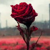 Profile Picture of Mohammad Shakur (@mohammadshakur-rv4um) on Youtube