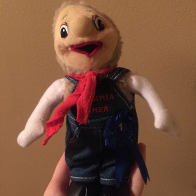 Profile Picture of Camilla Walsh (@stewedcabbage) on Twitter