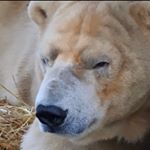 Profile Picture of Rachael (@r4ch4elreads) on Instagram