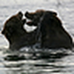 Profile Picture of Chris Holcroft (@kinderboy101) on Flickr