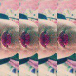 Profile Picture of lily_olmo_ (@lily_olmo_) on Instagram