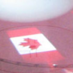 Profile Picture of Rusty Steffansson (@RustySteffanson) on Twitter