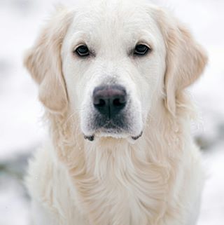 Profile Picture of Joel Oliver Ochmann (@benjamin.zimm.77) on Facebook