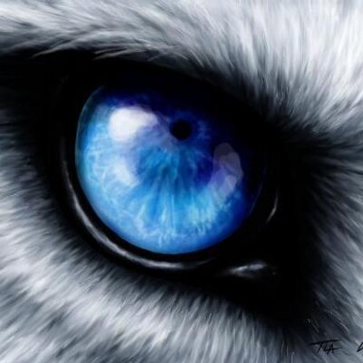 Profile Picture of Shane Fowler (@shanefowler83) on Twitter