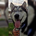 Profile Picture of piti jose rosero jimenez (@piti.jose040817) on Instagram