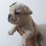 Profile Picture of Taya Smith Marx (@tayasmithmarx) on Instagram