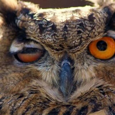 Profile Picture of Jared Pickett (@jaredpickett4) on Twitter