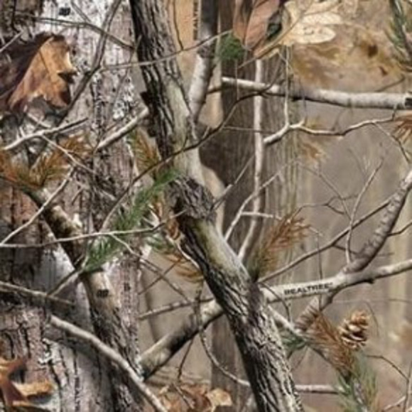 Profile Picture of Ethan Baldwin (@ethanbaldwin576) on Poshmark