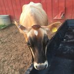 Profile Picture of Jesse Prater (@j_prater29) on Instagram