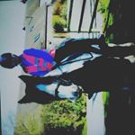 Profile Picture of amy beauchamp (@angelthecob) on Instagram