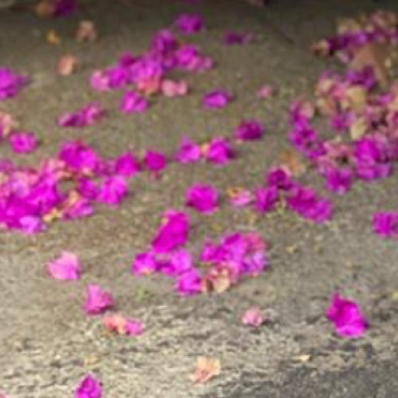 Profile Picture of Whitney Bender (@whitney394) on Poshmark