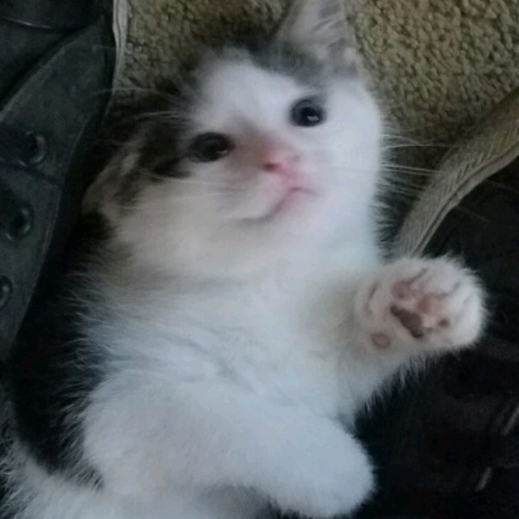 Profile Picture of Baylee Wilson (@bayleej2020) on Poshmark